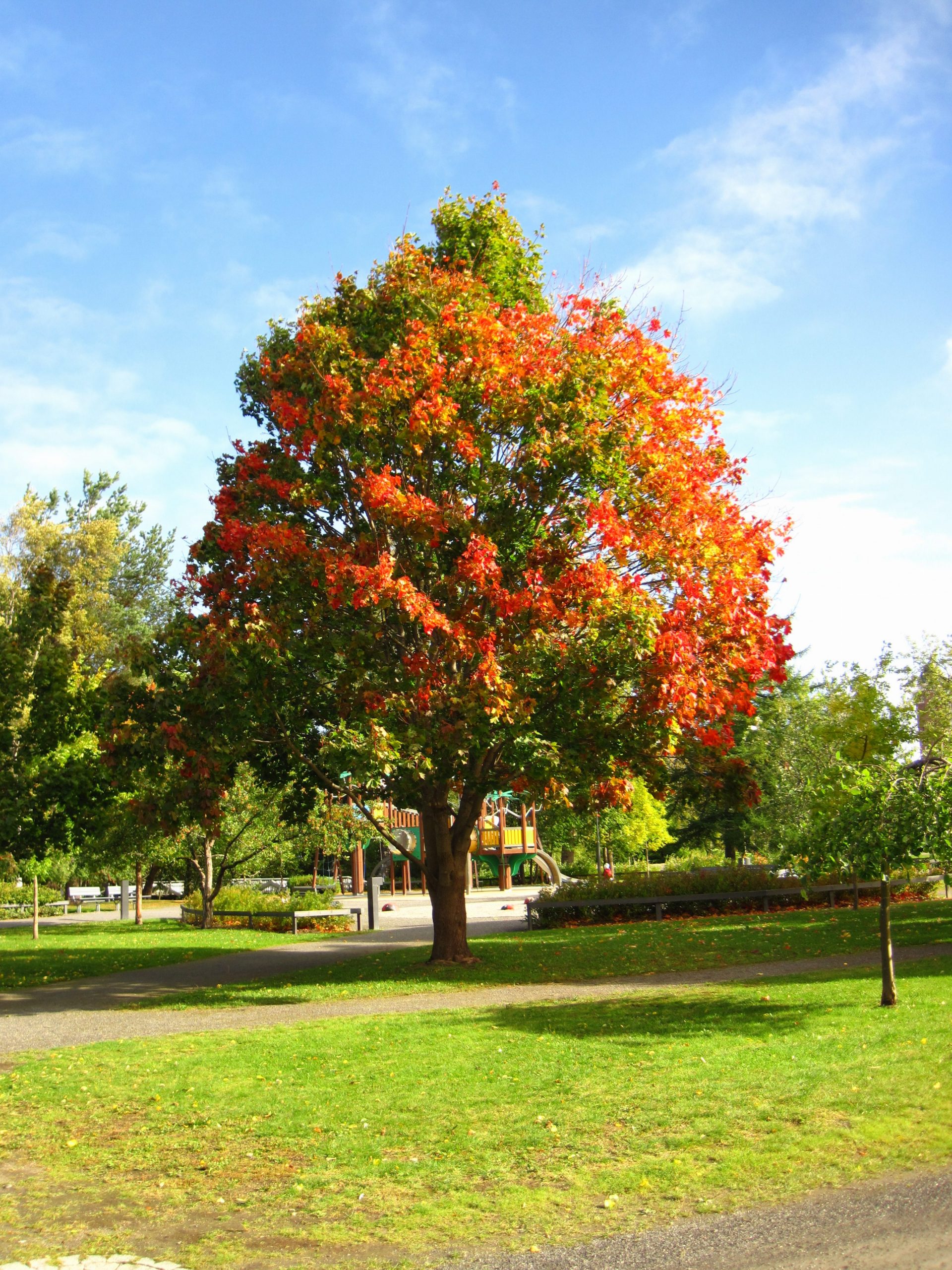 The EUROSIM CONFERENCE IN FINLAND A COMPLETE SUCCESS!